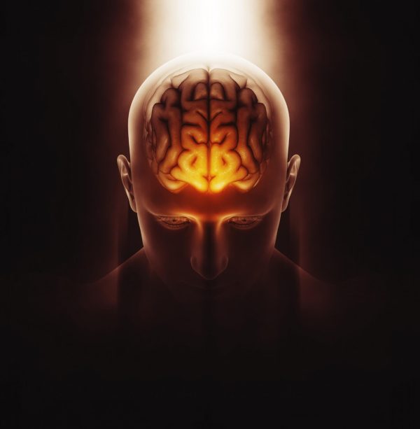 Emotional Intelligence & Workplace Effectiveness Assessment